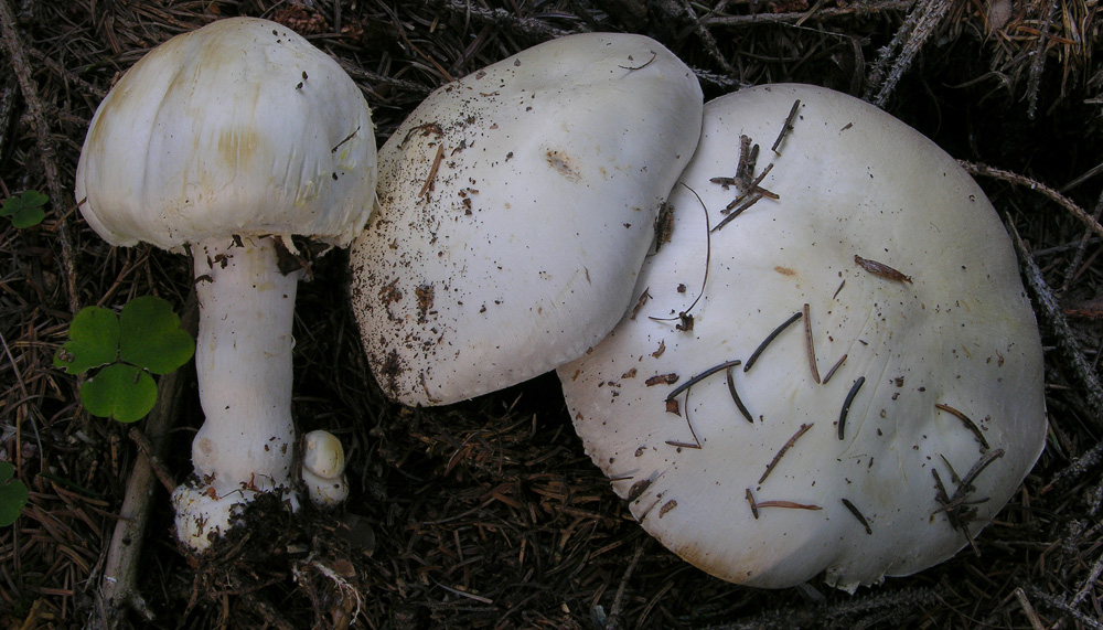 Svuotando l''archivio 2009...parte1